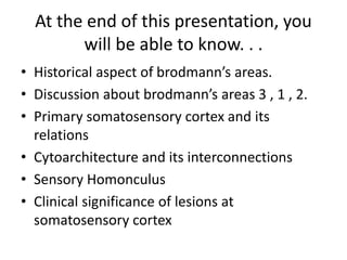 At the end of this presentation, you
will be able to know. . .
• Historical aspect of brodmann’s areas.
• Discussion about brodmann’s areas 3 , 1 , 2.
• Primary somatosensory cortex and its
relations
• Cytoarchitecture and its interconnections
• Sensory Homonculus
• Clinical significance of lesions at
somatosensory cortex
 