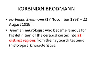 KORBINIAN BRODMANN
• Korbinian Brodmann (17 November 1868 – 22
August 1918) .
• German neurologist who became famous for
his definition of the cerebral cortex into 52
distinct regions from their cytoarchitectonic
(histological)characteristics.
 