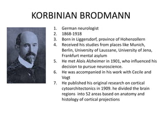 KORBINIAN BRODMANN
1. German neurologist
2. 1868-1918
3. Born in Liggersdorf, province of Hohenzollern
4. Received his studies from places like Munich,
Berlin, University of Laussane, University of Jena,
Frankfurt mental asylum
5. He met Alois Alzheimer in 1901, who influenced his
decision to pursue neuroscience.
6. He was accompanied in his work with Cecile and
Vogt
7. He published his original research on cortical
cytoarchitectonics in 1909. he divided the brain
regions into 52 areas based on anatomy and
histology of cortical projections
 