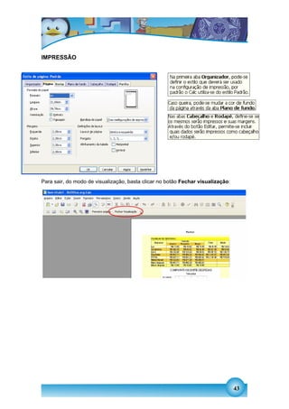 IMPRESSÃO




Para sair, do modo de visualização, basta clicar no botão Fechar visualização:




                                                                                 43
 