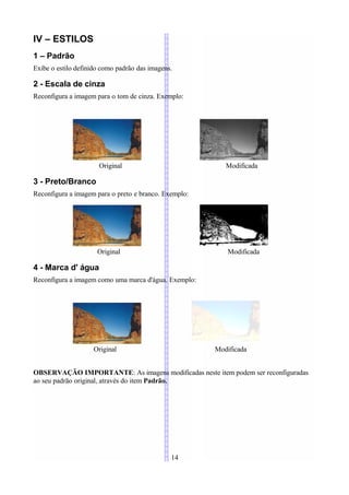 IV – ESTILOS
1 – Padrão
Exibe o estilo definido como padrão das imagens.

2 - Escala de cinza
Reconfigura a imagem para o tom de cinza. Exemplo:




                      Original                            Modificada

3 - Preto/Branco
Reconfigura a imagem para o preto e branco. Exemplo:




                      Original                             Modificada

4 - Marca d' água
Reconfigura a imagem como uma marca d'água. Exemplo:




                    Original                           Modificada


OBSERVAÇÃO IMPORTANTE: As imagens modificadas neste item podem ser reconfiguradas
ao seu padrão original, através do item Padrão.




                                               14
 