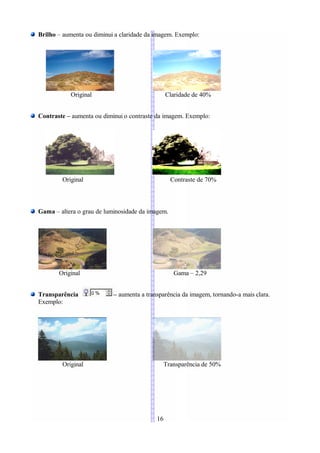 Brilho – aumenta ou diminui a claridade da imagem. Exemplo:




           Original                             Claridade de 40%


Contraste – aumenta ou diminui o contraste da imagem. Exemplo:




        Original                                  Contraste de 70%



Gama – altera o grau de luminosidade da imagem.




       Original                                    Gama – 2,29


Transparência              – aumenta a transparência da imagem, tornando-a mais clara.
Exemplo:




        Original                                Transparência de 50%




                                           16
 