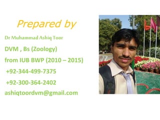 Prepared by
Dr MuhammadAshiqToor
DVM , Bs (Zoology)
from IUB BWP (2010 – 2015)
+92-344-499-7375
+92-300-364-2402
ashiqtoordvm@gmail.com
 