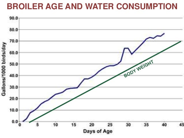 Poultry Water Consumption Chart