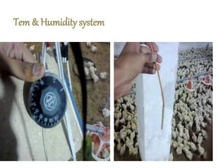 Tem & Humidity system
 