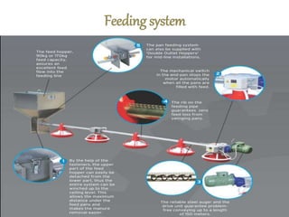 Feeding system
 