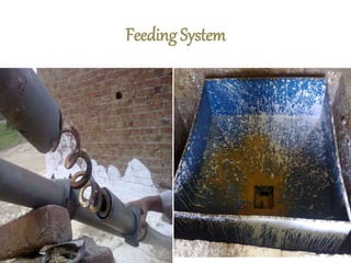 Feeding System
 