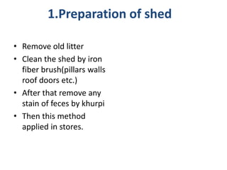 1.Preparation of shed
• Remove old litter
• Clean the shed by iron
fiber brush(pillars walls
roof doors etc.)
• After that remove any
stain of feces by khurpi
• Then this method
applied in stores.
 