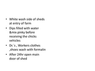 • White wash side of sheds
at entry of farm
• Dips filled with water
&mix pinky before
receiving the chicks
vehicles
• Dr.`s , Workers clothes
,shoes wash with formalin
• After 24hr open main
door of shed
 