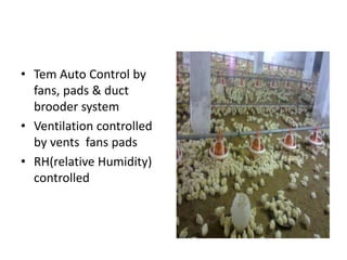 • Tem Auto Control by
fans, pads & duct
brooder system
• Ventilation controlled
by vents fans pads
• RH(relative Humidity)
controlled
 