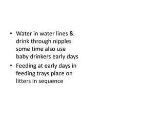 • Water in water lines &
drink through nipples
some time also use
baby drinkers early days
• Feeding at early days in
feeding trays place on
litters in sequence
 