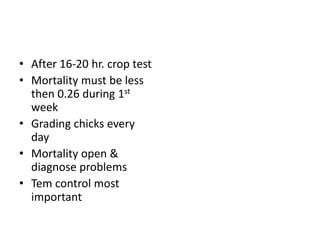 • After 16-20 hr. crop test
• Mortality must be less
then 0.26 during 1st
week
• Grading chicks every
day
• Mortality open &
diagnose problems
• Tem control most
important
 
