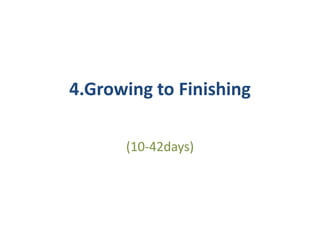4.Growing to Finishing
(10-42days)
 