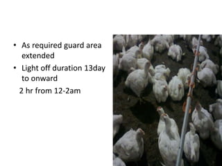 • As required guard area
extended
• Light off duration 13day
to onward
2 hr from 12-2am
 
