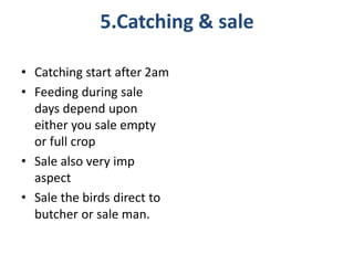 5.Catching & sale
• Catching start after 2am
• Feeding during sale
days depend upon
either you sale empty
or full crop
• Sale also very imp
aspect
• Sale the birds direct to
butcher or sale man.
 