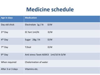 Medicine schedule
MedicationAge in days
Electrolyte 1g / lit D/WDay old chick
EC fort 1ml/lit D/W3rd Day
Sugar 28g / lit D/W4th Day
T.Dcol D/W7th Day
Anti stress Tavet ADEK3 1ml/10 lit D/W9th Day
Cholorination of waterWhen required
Vitamins etc.After 3 or 3 days
 