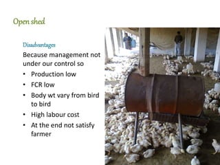 Open shed
Disadvantages
Because management not
under our control so
• Production low
• FCR low
• Body wt vary from bird
to bird
• High labour cost
• At the end not satisfy
farmer
 