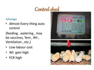 Control shed
Advantages
• Almost Every thing auto
control
(feeding , watering , may
be vaccines, Tem , RH ,
Ventilation , etc.)
• Low labour cost
• Wt gain high
• FCR high
 
