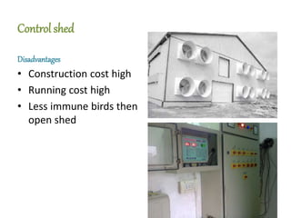 Control shed
Disadvantages
• Construction cost high
• Running cost high
• Less immune birds then
open shed
 