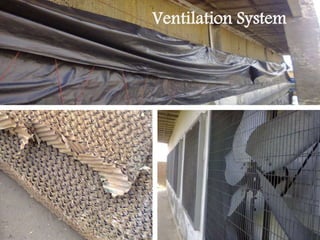 m
Ventilation System
 