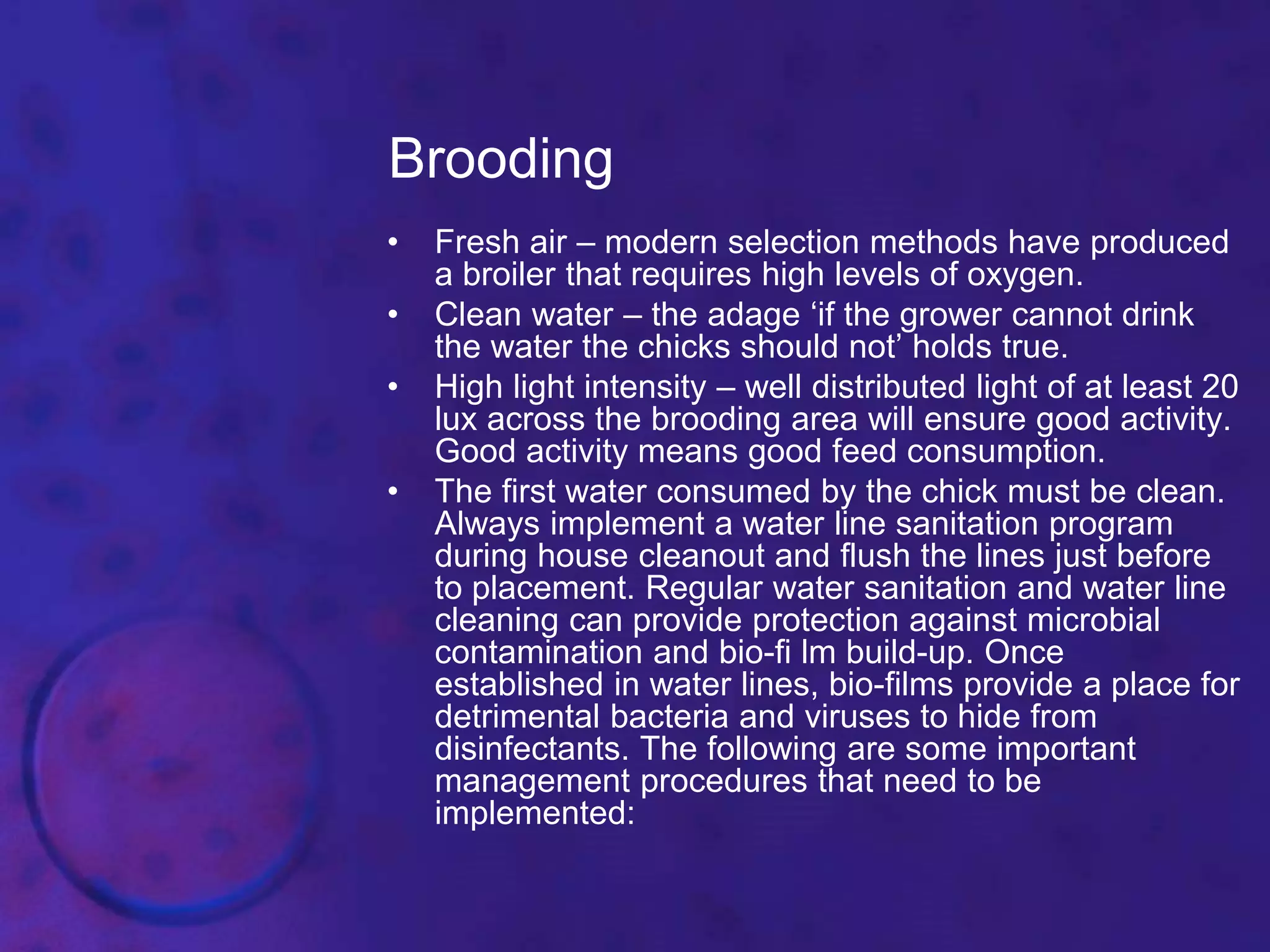 Broiler breeder management | PPTX