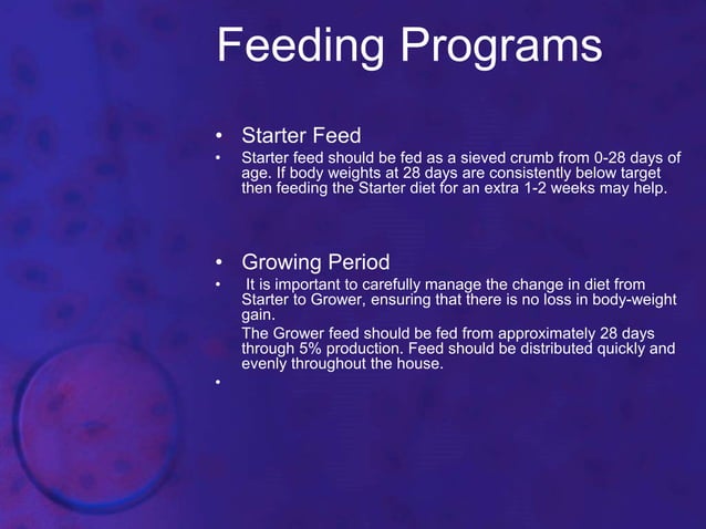 Broiler breeder management | PPTX