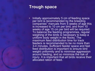 Trough space
• Initially approximately 5 cm of feeding space
per bird is recommended by the breeding
companies‟ manuals from 5 weeks of age this
is increased to 10 cm per bird, and from 10
weeks of age 15 cm per bird will be required.
To balance the feeding programmes, regular
weighing of the birds is necessary to keep a
uniform body weight in the flocks. The
maximum feed distribution time for track
feeders is recommended to be no more than
3-4 minutes. Sufficient feeder space and fast
feed distribution is important to ensure bird
weight uniformity and to minimise aggression
around feeding, and so minimize the risk of
injury. It is important that all birds receive their
allocated ration of feed.
 