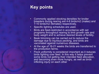 Key points
• Commonly applied stocking densities for broiler
breeders during rearing are 4-8 birds/m2 (males) and
7-10 birds/m2 (females) respectively.
• Specific lighting schedules are used.
• Birds are feed-restricted in accordance with set
programs throughout rearing to limit growth rate and
body weight and to achieve desired levels of fertility.
• Beak trimming can be carried out to reduce the
damage due to injurious pecking, and birds are
vaccinated against numerous diseases.
• At the age of 16-21 weeks the birds are transferred to
the production farms.
• Flock uniformity is considered important as it reduces
birds fighting over feed. In this way it helps prevent
some birds not getting their intended feed allocation,
and becoming even more hungry, as well as birds
inflicting injury on each other
 