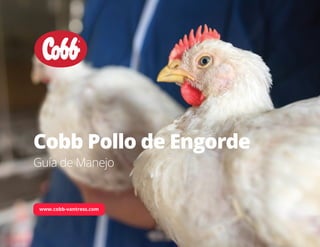 GUÍA
DE
MANEJO
POLLOS
DE
ENGORDE
COBB
1
Cobb Pollo de Engorde
Guía de Manejo
www.cobb-vantress.com
 