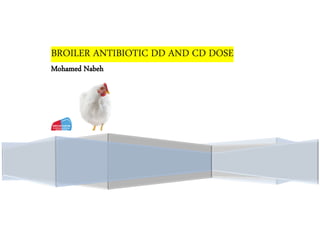 BROILER ANTIBIOTIC DD AND CD DOSE
Mohamed Nabeh
 