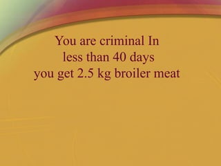 You are criminal In
less than 40 days
you get 2.5 kg broiler meat
 