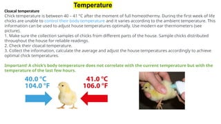 Broiler breeder brooding management.pptx