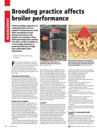 MANAGEMENT

Brooding practice affects
broiler performance
Primary breeding companies are
producing broilers that are
capable of producing more meat
while consuming less feed.
Economic pressures in the
industry are resulting in fewer
staff supervising larger numbers
of broilers. In these conditions it
is increasingly important to
understand the basis of high
level, predictable broiler
performance.
By Alan Tinch and Dinah Nicholson,
Aviagen Ltd.

F

or many years Aviagen has worked
to identify the key factors which determine success in a broiler growing
operation. These key factors are described in its technical literature and allow the broiler grower to maximise performance by meeting the requirements of
the broiler.

Starting in the hatchery
Success on the broiler farm starts in the
hatchery. Recent research has shown that
the high levels of heat produced by fertile
eggs in the late stages of incubation can result in excessively high temperatures within
the hatcher. High temperature at this stage
will stress the emerging chick resulting in
excess weight loss in the hatcher and poorer performance in the broiler house. When
looking for opportunities to improve early
broiler performance, temperature and humidity control of the eggs and newly
emerged chicks should be examined to ensure the chicks are not being heat stressed.

Broiler farm reception
Good broiler performance is dependent on
the chicks getting off to a good start, as soon
as they arrive on the farm. The potential 7day bodyweight of the modern broiler chick is
180g or more and only slightly less in chicks
from younger parent flocks. If the chicks
achieve a good 7-day bodyweight (160g or
more), it is an indication that they have had a
good start. However, if the 7-day bodyweight
is disappointing (140g or less), how can it be
improved?
Measurement of early predictors of success
such as crop fill and 7-day bodyweight are important tools for monitoring and improving
18

www.AgriWorld.nl

Brooding practice influences bird
performance during the whole cycle.
(photo: Maywick Ltd.)
broiler performance. Generally, flocks with
poor 7-day bodyweights will also be uneven.
Poor 7-day bodyweights will generally be
due to the chicks being unable to find feed
or water. This may happen when the chicks
are placed, or at the point when they have
to move on from supplementary feed and
water to the automated systems.
Growth rates can also be depressed if the
birds are brooded in high temperatures
(and so eat less), or if the chicks are small.
Guidelines on the temperature and relative
humidity required to keep the chick in its
comfort zone can be obtained from
Aviagen’s technical literature. Shed temperature should be adjusted using chick behaviour as a guide. When 7-day bodyweights
are less than 140g, there are two main areas
to look at when trying to improve conditions for the next flock..

Crop fill
When they first start to feed, chicks will tend
to eat a good meal, which also fills the crop.
The crop is a muscular pouch situated at the
front of the neck at the junction of the neck
and the clavicle (wishbone). The crop fills
with a mixture of food and water if the chicks
are feeding and drinking properly. Gentle
handling of the chicks within the first 48
hours can give a good indication as to
whether the chicks have eaten and had a
drink. Ideally, the crop should be full and
rounded, and the contents should have a soft,
porridge-like consistency. If the crop content

When the feed on the paper runs out before
the chicks have learned to use the feeders, one
must re-feed the paper, giving then more time
to locate the feeders. (photo: Big Dutchman)
is stiff, or the original texture of the feed can
be felt through the crop wall, then these birds
have had little or nothing to drink.
The crop fill target should be:
• 8 hours after delivery 80%
• 24 hours after delivery 95%
If crop fill is below this target, then action
will be needed:
• Put plenty of feed onto paper for the
chicks (aim for 35g/chick).
• Tip the chicks onto the feed on the paper
– do not expect them to find it.
• Make sure that the feed form is suitable –
a sieved crumb.
If any bird seems short of water after 24
hours, then act to improve water availability
by e.g.:
• Adjust water pressure so that there is a
drop of water on each nipple.
• Adjust water pressure so that there is water in the drip trays for the first 24 hours.
• Use supplementary drinkers for the first
24 hours.
Chicks will be less likely to dehydrate if humidity in the house is over 65% for the first
48 hours.

Transfer to automated feeder
system
It is possible to have chicks with a good
crop fill at 24 hours (i.e. more than 95%) but
which still have a disappointing 7-day
bodyweight. When this happens, it is probably because the chicks have had difficulties
moving on to the automatic feeding and
WORLD POULTRY - Elsevier Volume 18, No 10. '02

 
