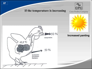 If the temperature is increasing
If the temperature is increasing
Increased panting
Increased panting
87
100
 