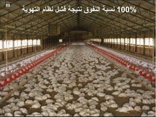 100%
‫ن‬
‫التهوية‬ ‫نظام‬ ‫فشل‬ ‫نتيجة‬ ‫النفوق‬ ‫سبة‬
89
102
 