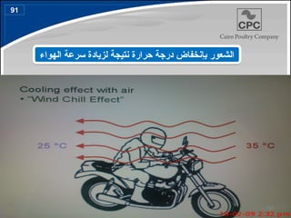 ‫الهواء‬ ‫سرعة‬ ‫لزيادة‬ ‫نتيجة‬ ‫حرارة‬ ‫درجة‬ ‫بإنخفاض‬ ‫الشعور‬
91
104
 