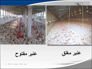 ِ
‫مغلق‬ ‫عنبر‬
‫مفتوح‬ ‫عنبر‬
19
 