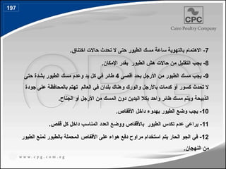 7
.‫اختناق‬ ‫حاالت‬ ‫تحدث‬ ‫ال‬ ‫حتى‬ ‫الطيور‬ ‫مسك‬ ‫ساعة‬ ‫بالتهوية‬ ‫االهتمام‬ -
8
.‫اإلمكان‬ ‫بقدر‬ ‫الطيور‬ ‫هش‬ ‫حاالت‬ ‫من‬ ‫التقليل‬ ‫يجب‬ -
9
‫أقصى‬ ‫بحد‬ ‫األرجل‬ ‫من‬ ‫الطيور‬ ‫مسك‬ ‫يجب‬ -
4
‫حتى‬ ‫بشدة‬ ‫الطيور‬ ‫مسك‬ ‫وعدم‬ ‫يد‬ ‫كل‬ ‫في‬ ‫طائر‬
‫جودة‬ ‫على‬ ‫بالمحافظة‬ ‫تهتم‬ ‫العالم‬ ‫في‬ ‫بلدان‬ ‫وهناك‬ ‫والورك‬ ‫باألرجل‬ ‫كدمات‬ ‫أو‬ ‫كسور‬ ‫تحدث‬ ‫ال‬
‫الذبيحة‬
.‫الجناح‬ ‫أو‬ ‫األرجل‬ ‫من‬ ‫المسك‬ ‫دون‬ ‫اليدين‬ ‫بكال‬ ‫واحد‬ ‫طائر‬ ‫مسك‬ ‫ويتم‬
10
.‫األقفاص‬ ‫داخل‬ ‫بهدوء‬ ‫الطيور‬ ‫وضع‬ ‫يجب‬ -
11
.‫قفص‬ ‫كل‬ ‫داخل‬ ‫المناسب‬ ‫العدد‬ ‫ووضع‬ ‫باألقفاص‬ ‫الطيور‬ ‫تكدس‬ ‫عدم‬ ‫يراعى‬ -
12
‫بالطيور‬ ‫المحملة‬ ‫األقفاص‬ ‫على‬ ‫هواء‬ ‫دفع‬ ‫مراوح‬ ‫استخدام‬ ‫يتم‬ ‫الحار‬ ‫الجو‬ ‫في‬ -
‫الطيور‬ ‫لمنع‬
‫النهجان‬ ‫من‬
.
197
 