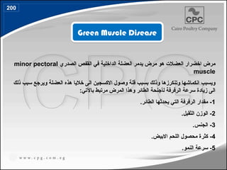 Green Muscle Disease
‫الصدري‬ ‫القفص‬ ‫في‬ ‫الداخلية‬ ‫العضلة‬ ‫يدمر‬ ‫مرض‬ ‫هو‬ ‫العضالت‬ ‫اخضرار‬ ‫مرض‬
minor pectoral
muscle
‫ذلك‬ ‫سبب‬ ‫ويرجع‬ ‫العضلة‬ ‫هذه‬ ‫خاليا‬ ‫الى‬ ‫االكسجين‬ ‫وصول‬ ‫قلة‬ ‫بسبب‬ ‫وذلك‬ ‫وتنكرزها‬ ‫انكماشها‬ ‫ويسبب‬
‫ل‬ ‫الرفرفة‬ ‫سرعة‬ ‫زيادة‬ ‫الى‬
‫أ‬
:‫باآلتي‬ ‫مرتبط‬ ‫المرض‬ ‫وهذا‬ ‫الطائر‬ ‫جنحة‬
1
.‫الطائر‬ ‫يحدثها‬ ‫التي‬ ‫الرفرفة‬ ‫مقدار‬ -
2
.‫الثقيل‬ ‫الوزن‬ -
3
.‫الجنس‬ -
4
.‫االبيض‬ ‫اللحم‬ ‫محصول‬ ‫كثرة‬ -
5
.‫النمو‬ ‫سرعة‬ -
200
231
 