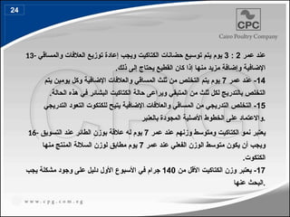 13- ‫عمر‬ ‫عند‬
2
:
3
‫والمساقي‬ ‫العالفات‬ ‫توزيع‬ ‫إعادة‬ ‫ويجب‬ ‫الكتاكيت‬ ‫حضانات‬ ‫توسيع‬ ‫يتم‬ ‫يوم‬
.‫ذلك‬ ‫إلى‬ ‫يحتاج‬ ‫القطيع‬ ‫كان‬ ‫إذا‬ ‫منها‬ ‫مزيد‬ ‫وإضافة‬ ‫اإلضافية‬
14
‫عمر‬ ‫عند‬ -
7
‫يتم‬ ‫يومين‬ ‫وكل‬ ‫اإلضافية‬ ‫والعالفات‬ ‫المساقي‬ ‫ثلث‬ ‫من‬ ‫التخلص‬ ‫يتم‬ ‫يوم‬
.‫الحالة‬ ‫هذه‬ ‫في‬ ‫البشائر‬ ‫الكتاكيت‬ ‫حالة‬ ‫ويراعى‬ ‫المتبقي‬ ‫من‬ ‫ثلث‬ ‫لكل‬ ‫بالتدريج‬ ‫التخلص‬
15
‫التدريجي‬ ‫التعود‬ ‫للكتكوت‬ ‫يتيح‬ ‫اإلضافية‬ ‫والعالفات‬ ‫المساقي‬ ‫من‬ ‫التدريجي‬ ‫التخلص‬ -
‫بالعنبر‬ ‫المجودة‬ ‫األصلية‬ ‫الخطوط‬ ‫على‬ ‫واالعتماد‬.
16- ‫عمر‬ ‫عند‬ ‫وزنهم‬ ‫ومتوسط‬ ‫الكتاكيت‬ ‫نمو‬ ‫يعتبر‬
7
‫ا‬ ‫عند‬ ‫الطائر‬ ‫بوزن‬ ‫عالقة‬ ‫له‬ ‫يوم‬
‫ل‬
‫تسويق‬
‫عمر‬ ‫عند‬ ‫الفعلي‬ ‫الوزن‬ ‫متوسط‬ ‫يكون‬ ‫أن‬ ‫ويجب‬
7
‫منها‬ ‫المنتج‬ ‫الساللة‬ ‫لوزن‬ ‫مطابق‬ ‫يوم‬
.‫الكتكوت‬
17
‫من‬ ‫األقل‬ ‫الكتاكيت‬ ‫وزن‬ ‫يعتبر‬ -
140
‫يجب‬ ‫مشكلة‬ ‫وجود‬ ‫على‬ ‫دليل‬ ‫األول‬ ‫األسبوع‬ ‫في‬ ‫جرام‬
‫عنها‬ ‫البحث‬.
24
 
