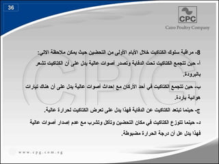 8
‫م‬ ‫يمكن‬ ‫حيث‬ ‫التحضين‬ ‫من‬ ‫األولى‬ ‫األيام‬ ‫خالل‬ ‫الكتاكيت‬ ‫سلوك‬ ‫مراقبة‬ -
‫الحظ‬
:‫االتي‬ ‫ة‬
‫تشعر‬ ‫الكتاكيت‬ ‫أن‬ ‫على‬ ‫يدل‬ ‫عالية‬ ‫أصوات‬ ‫وتصدر‬ ‫الدفاية‬ ‫تحت‬ ‫الكتاكيت‬ ‫تتجمع‬ ‫حين‬ -‫أ‬
.‫بالبرودة‬
‫مع‬ ‫األركان‬ ‫أحد‬ ‫في‬ ‫الكتاكيت‬ ‫تتجمع‬ ‫حين‬ -‫ب‬
‫إ‬
‫تيارات‬ ‫هناك‬ ‫أن‬ ‫على‬ ‫يدل‬ ‫عالية‬ ‫أصوات‬ ‫حداث‬
.‫باردة‬ ‫هوائية‬
.‫عالية‬ ‫لحرارة‬ ‫الكتاكيت‬ ‫تعرض‬ ‫على‬ ‫يدل‬ ‫فهذا‬ ‫الدفاية‬ ‫عن‬ ‫الكتاكيت‬ ‫تبتعد‬ ‫حينما‬ -‫ج‬
‫عالية‬ ‫أصوات‬ ‫إصدار‬ ‫عدم‬ ‫مع‬ ‫وتشرب‬ ‫وتأكل‬ ‫التحضين‬ ‫مكان‬ ‫في‬ ‫الكتاكيت‬ ‫تتوزع‬ ‫حينما‬ -‫د‬
.‫مضبوطة‬ ‫الحرارة‬ ‫درجة‬ ‫أن‬ ‫عل‬ ‫يدل‬ ‫فهذا‬
36
44
 