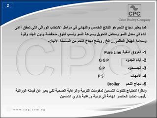 ‫أعلى‬ ‫تحقق‬ ‫التي‬ ‫الوراثي‬ ‫االنتخاب‬ ‫مراحل‬ ‫في‬ ‫والنهائي‬ ‫الخامس‬ ‫الناتج‬ ‫هو‬ ‫اللحم‬ ‫دجاج‬ ‫يعتبر‬ ‫كما‬
‫وقوة‬ ‫الجلد‬ ‫ولون‬ ‫منخفضة‬ ‫نفوق‬ ‫ونسب‬ ‫النمو‬ ‫وسرعة‬ ‫التحويل‬ ‫ومعامل‬ ‫النمو‬ ‫معدل‬ ‫في‬ ‫أداء‬
-:‫اآلتية‬ ‫السلسلة‬ ‫من‬ ‫اللحم‬ ‫دجاج‬ ‫وينتج‬ , ‫الخ‬ ...‫العظمى‬ ‫الهيكل‬ ‫وسالمة‬
1
‫النقية‬ ‫العروق‬ -
Pure Line
2
‫الجدود‬ ‫أباء‬ -
G G P
3
‫الجـــــدود‬ -
G P
4
‫األمهات‬ -
P S
5
‫اللحم‬ ‫دجاج‬ -
Broiler
‫الوراثية‬ ‫قيمته‬ ‫عن‬ ‫يعبر‬ ‫لكي‬ ‫الصحية‬ ‫والرعاية‬ ‫التربية‬ ‫لمقومات‬ ‫التسمين‬ ‫كتكوت‬ ‫الحتياج‬ ‫ونظرا‬
‫التسمين‬ ‫بداري‬ ‫ورعاية‬ ‫تربية‬ ‫في‬ ‫الهامة‬ ‫العناصر‬ ‫تحديد‬ ‫فيجب‬.
2
 