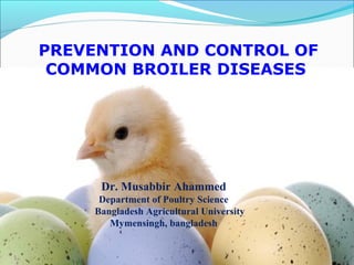 Dr. Musabbir Ahammed
Department of Poultry Science
Bangladesh Agricultural University
Mymensingh, bangladesh
PREVENTION AND CONTROL OF
COMMON BROILER DISEASES
1
 