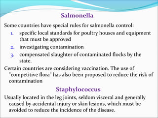 Some countries have special rules for salmonella control:
1. specific local standards for poultry houses and equipment
that must be approved
2. investigating contamination
3. compensated slaughter of contaminated flocks by the
state.
Certain countries are considering vaccination. The use of
"competitive flora" has also been proposed to reduce the risk of
contamination
Staphylococcus
Usually located in the leg joints, seldom visceral and generally
caused by accidental injury or skin lesions, which must be
avoided to reduce the incidence of the disease.
Salmonella
 
