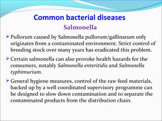 Salmonella
Pullorum caused by Salmonella pullorum/gallinarum only
originates from a contaminated environment. Strict control of
breeding stock over many years has eradicated this problem.
Certain salmonella can also provoke health hazards for the
consumers, notably Salmonella enteritidis and Salmonella
typhimurium.
General hygiene measures, control of the raw feed materials,
backed up by a well coordinated supervisory programme can
be designed to slow down contamination and to separate the
contaminated products from the distribution chain.
Common bacterial diseases
 