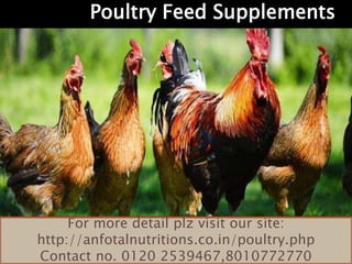 Poultry Feed Supplements
For more detail plz visit our site:
http://anfotalnutritions.co.in/poultry.php
Contact no. 0120 2539467,8010772770
 