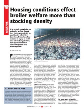 WELFARE

Housing conditions effect
broiler welfare more than
stocking density
A large-scale study in Europe
on broiler welfare showed
that stocking density did not
significantly affect bird
behaviour. Birds showed no
evidence of trying to avoid
each other at any stocking
density; environmental
conditions proved to be
more important.
By Wiebe van der Sluis

F

or many years animal welfare groups
have expressed their dislike for the
ways in which broilers being kept
and grown to slaughter weight. Mass production has attracted accusations of poor
welfare and forced the European Union to
adopt production standards for broilers
aimed at preventing overcrowding by limiting the maximum stocking density.
Research conducted by a team of researchers of the University of Oxford, UK,
now doubt the role of stocking density on
welfare, because evidence from a largescale study has proven to be contradictory.
Professor Mary Stamp Dawkins, who
lead the research team, explained at an
Aviagen broiler meeting in Edinburgh
that they came to that conclusion after
examining the effects of stocking density
on the welfare of broiler chickens kept in
a wide range of commercial husbandry
systems. The large-scale study (2.7 million
broilers) was carried out on commercial
farms – 94 different houses - belonging to

EU broiler welfare rules
In early June the European Commission proposed a maximum
of 30kg live weight per square meter floor space to provide
welfare to broilers during their relatively short life. If sufficient
welfare measures are taken by following good husbandry practices the member states can allow individual farmers to produce at a higher density with a maximum of 38 kg per square
meter. Criteria for good husbandry practices will be set and
mainly controlled by the processing company on the basis of
lesion scores.

The way birds use the available space reveals that they like crowding and are not socially
aversive to their house mates.

eleven major broiler producers in the UK
and Denmark. These producer companies
stocked their birds to five different final
densities (30, 34, 38, 42 and 46 kg/m2)
without changing their original production practices. The stocking densities
were analysed under normal commercial
conditions during the summer and winter, at which time the temperature, humidity, litter and air quality were recorded. Welfare was assessed through mortality, physiology, behaviour and health, with
an emphasis on leg health and walking
ability (Table 1).

Differences among companies
The results gathered by the Oxford researchers were an eye-opener. They found
that the effect of stocking density was
overshadowed by much larger differences
among companies. Chickens grew more
slowly at the highest stocking densities
and jostled each other more, and fewer of
them showed the best gaits. However
more obvious measures of bird welfare
such as the numbers of birds dying, being
culled as unfit and showing leg defects,
showed no correlation to stocking density
(Figure 1). There were, however, substantial differences among companies in al-

WORLD POULTRY - Vol. 21 No 8. 2005

www.AgriWorld.nl 22

most all other measures examined, with
the exception of the bird’s breed. At no
point was the origin of the bird a significant factor, which lead to the conclusion
that the differences found are predominantly related to the environmental conditions the birds were exposed to.
Some companies were more successful
than others at maintaining birds at higher densities. The reasons why can be
found in the fact that much of the variation in broiler health and welfare was associated with the percentage of time a
company was able to maintain houses
within the recommended temperature
and relative humidity limits. They were
able to maintain litter quality and air ammonia levels at a desirable level. Prof.
Dawkins explained that 56% of the variation in litter moisture could be explained
by effects such as heater position in the
house and the number of drinkers per
1000 birds, and 73.3% of the variation in
air ammonia is related to effects such as
season and ventilation type.

The importance of humidity
Litter moisture and ammonia however
have a strong link with bird health.
Higher levels of both were correlated

 
