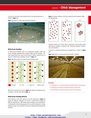 Broiler Farming Management Guide | PDF