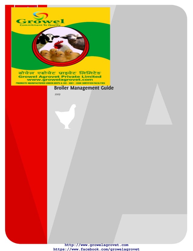 Broiler Farming Management Guide PDF