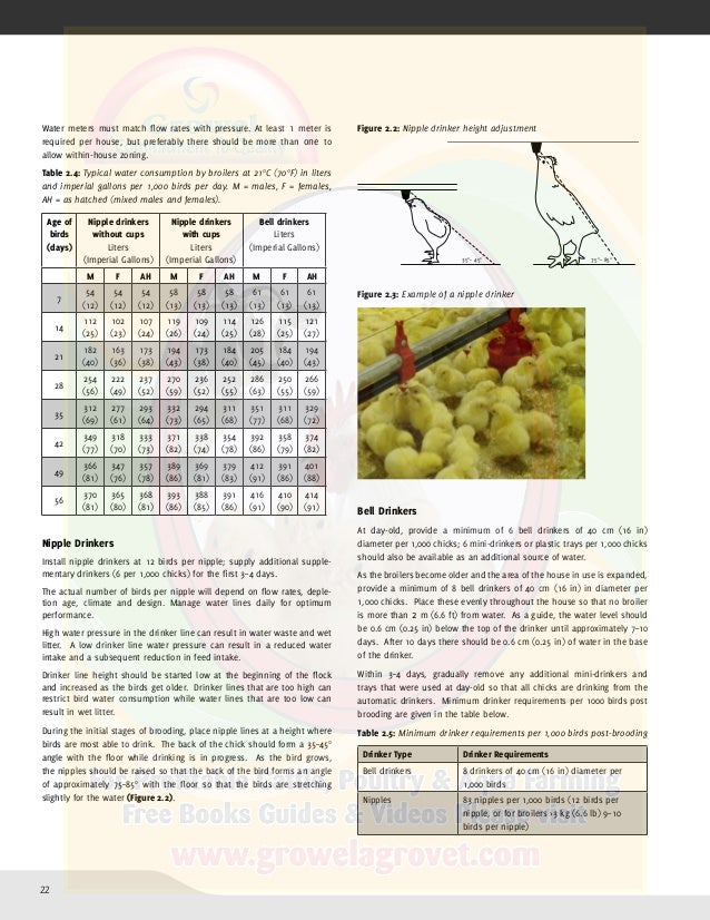 Broiler Farming Management Guide